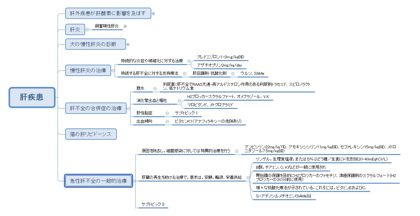 肝不全 獣医と音楽とアウトドア